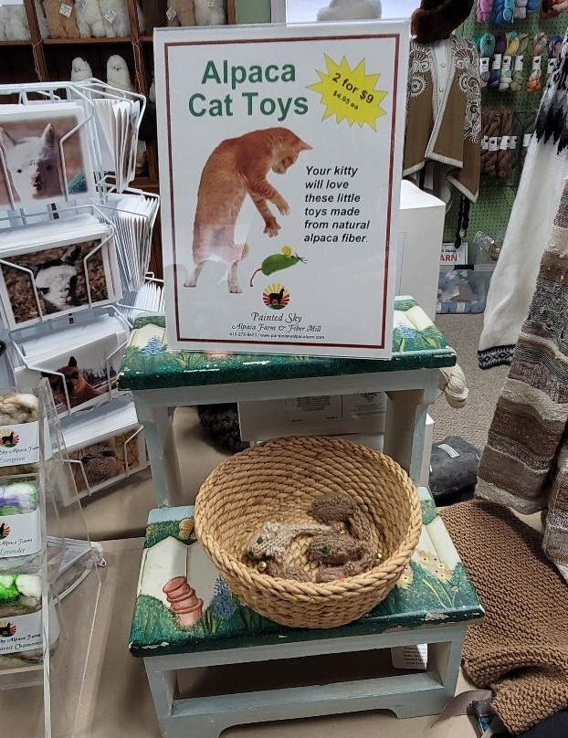 Painted Sky Alpaca Farm LLC-Earleville必去景点