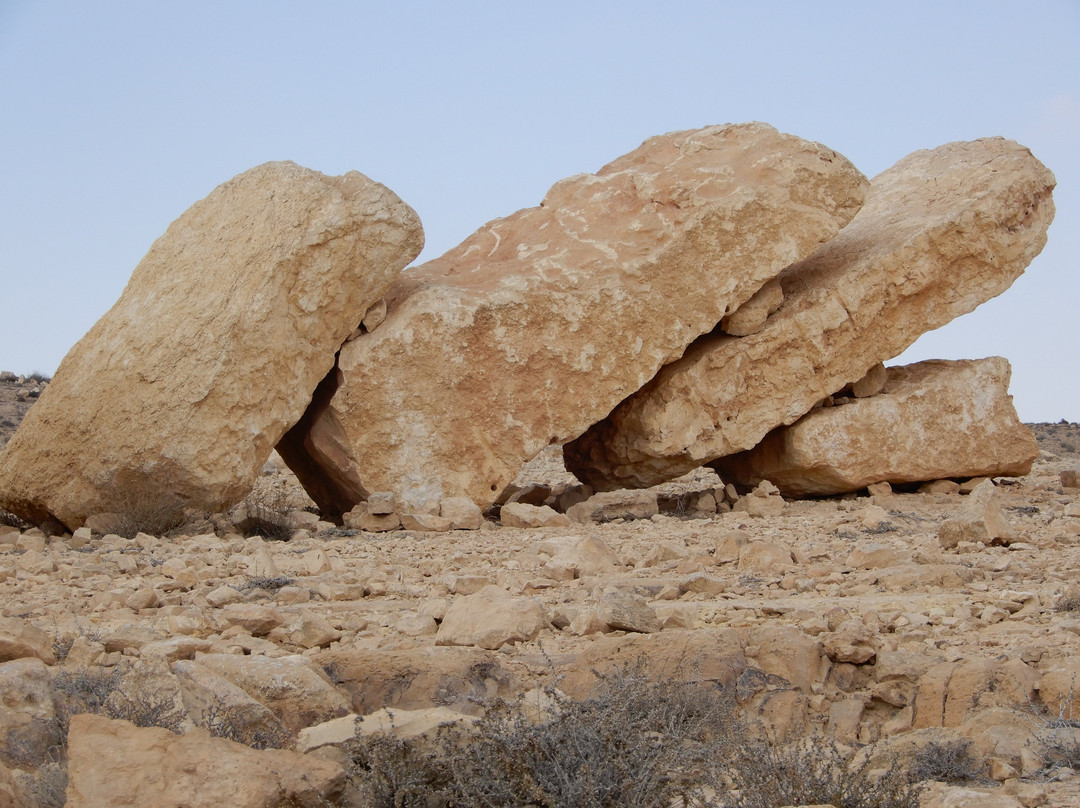Desert Sculpture Park-米茨佩拉蒙必去景点