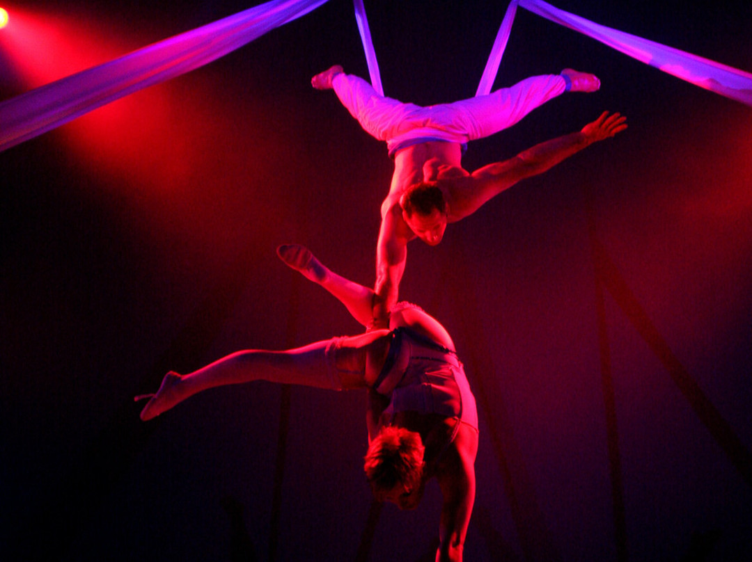 Cabaret Cirque National Palace-Vierzon必去景点