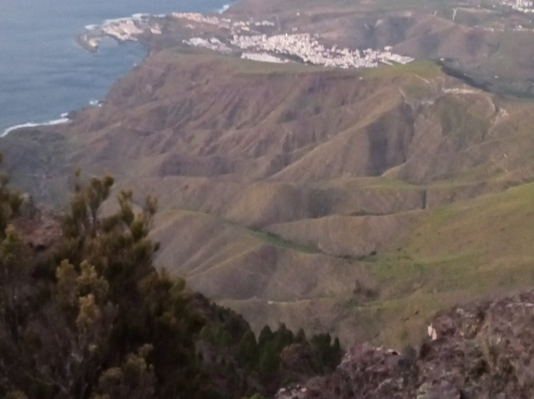 Pinar de Tamadaba景点图片