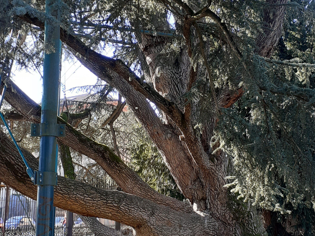 Parco Massari-费拉拉必去景点