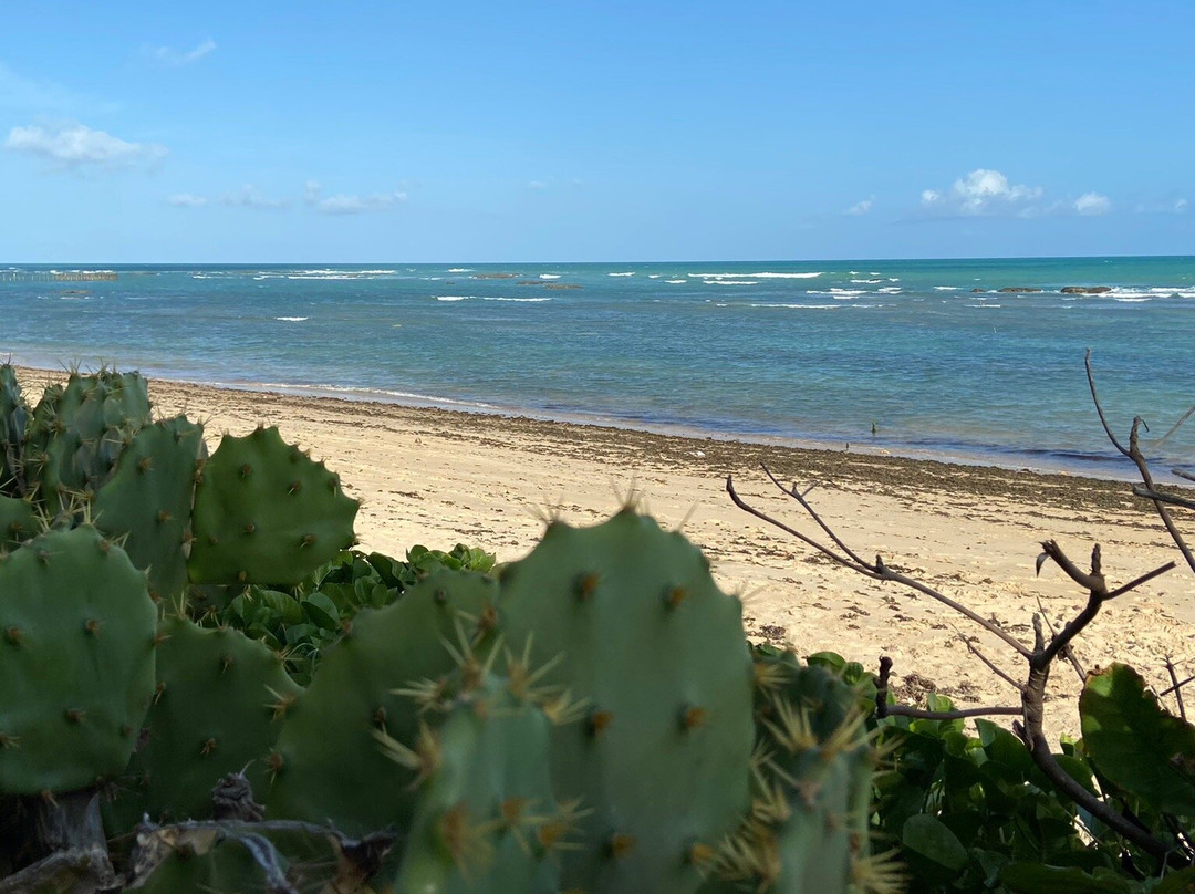 Garca Torta Beach-Maceio必去景点