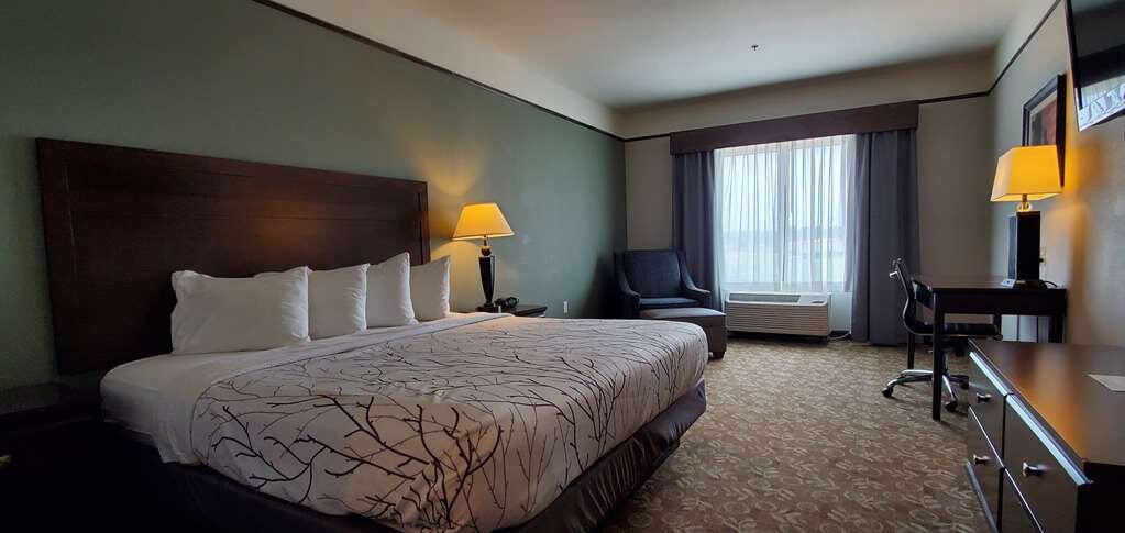 Best Western Plus Emory at Lake Fork Inn & Suites主图