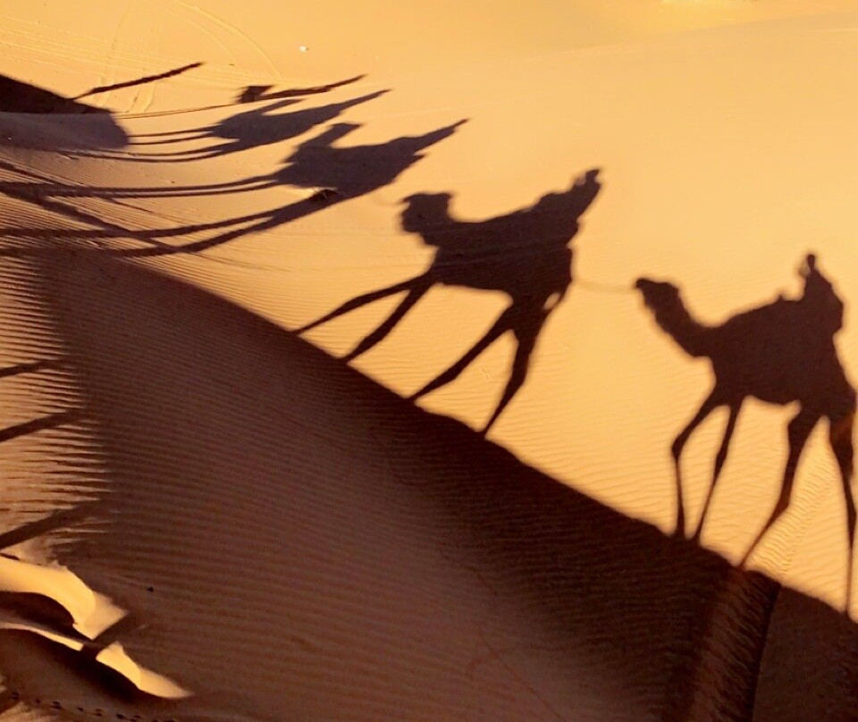 Marrakech daily tours景点图片