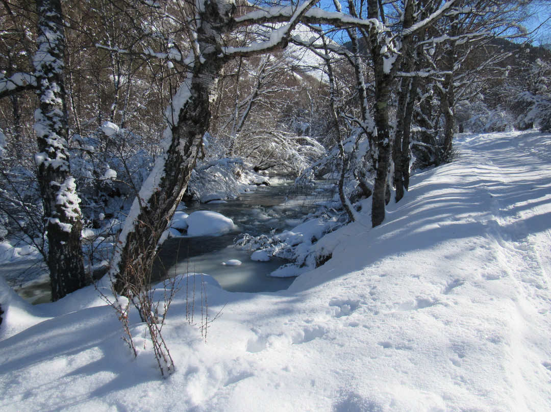 Teberdinsk State Biosphere Reserve-Teberda必去景点