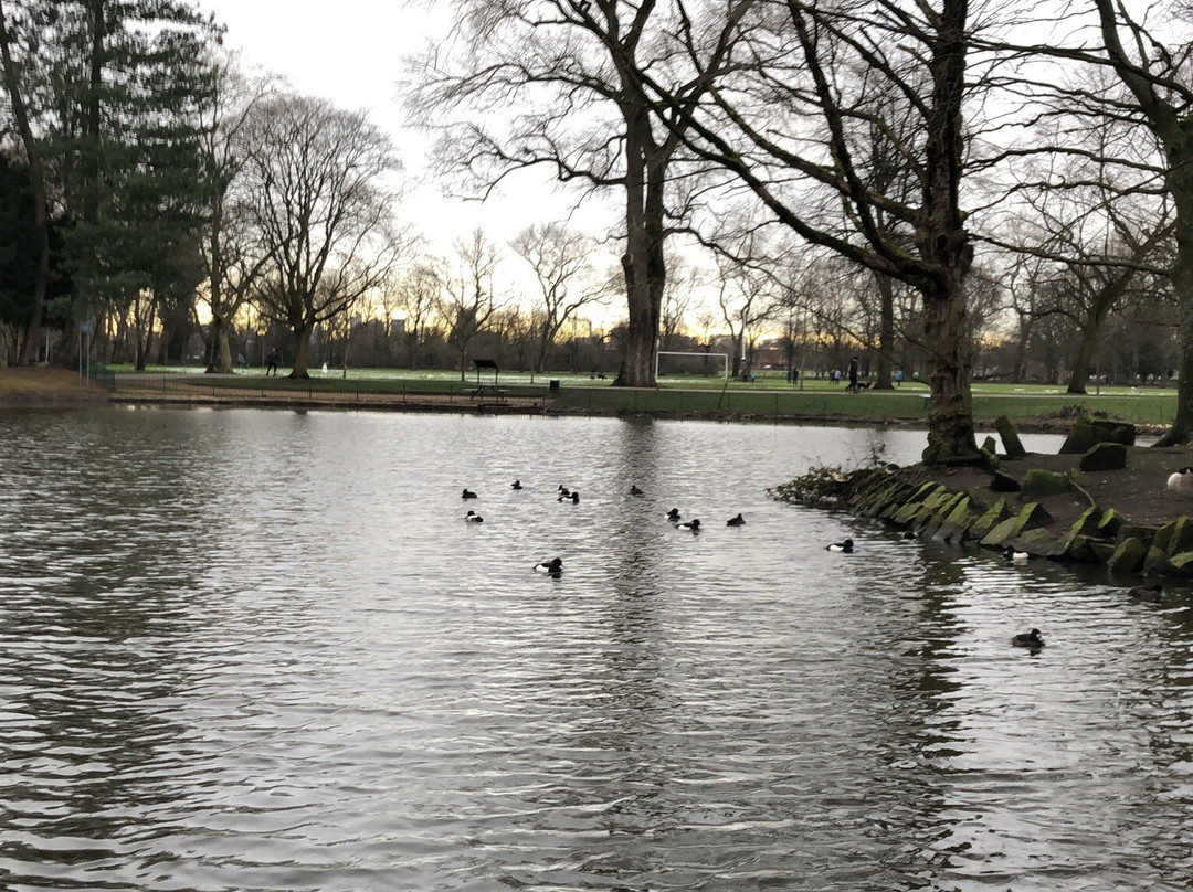 Alexandra Park-曼彻斯特必去景点