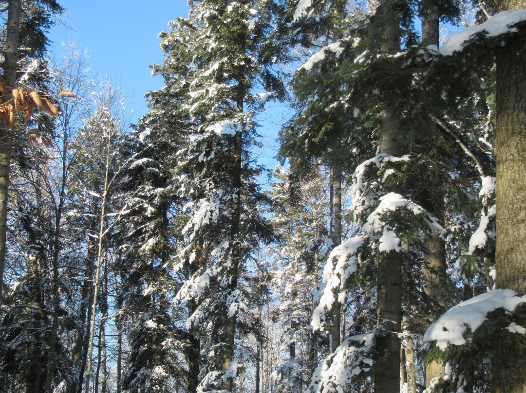 Haute-borne-德莱蒙必去景点