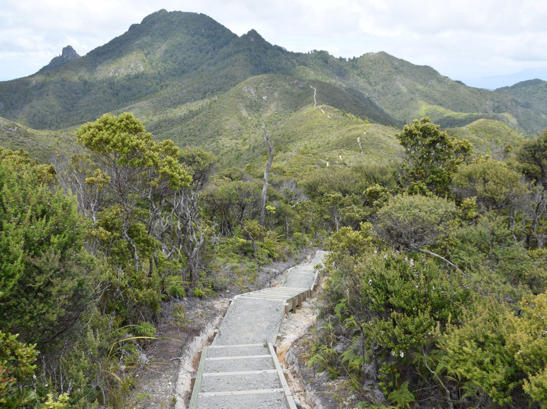 Aotea Track景点图片