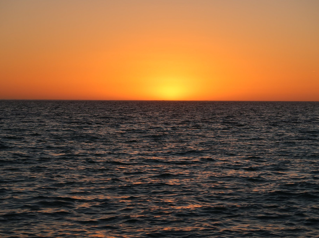 The Coral Bay Shark Nursery-珊瑚湾必去景点