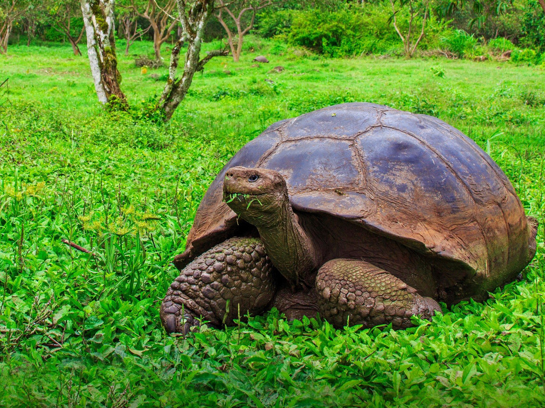 Nautidiving-阿约拉港必去景点