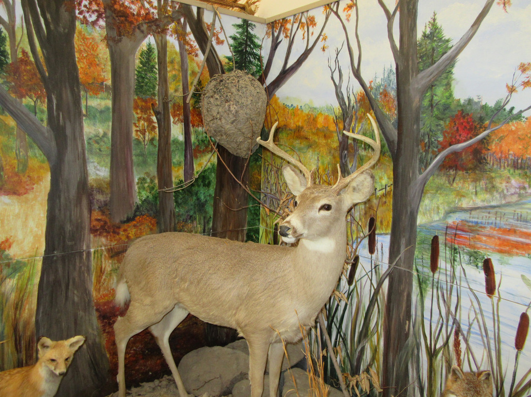 Hashawha Environmental Center &  Bear Branch Nature Center-Westminster必去景点