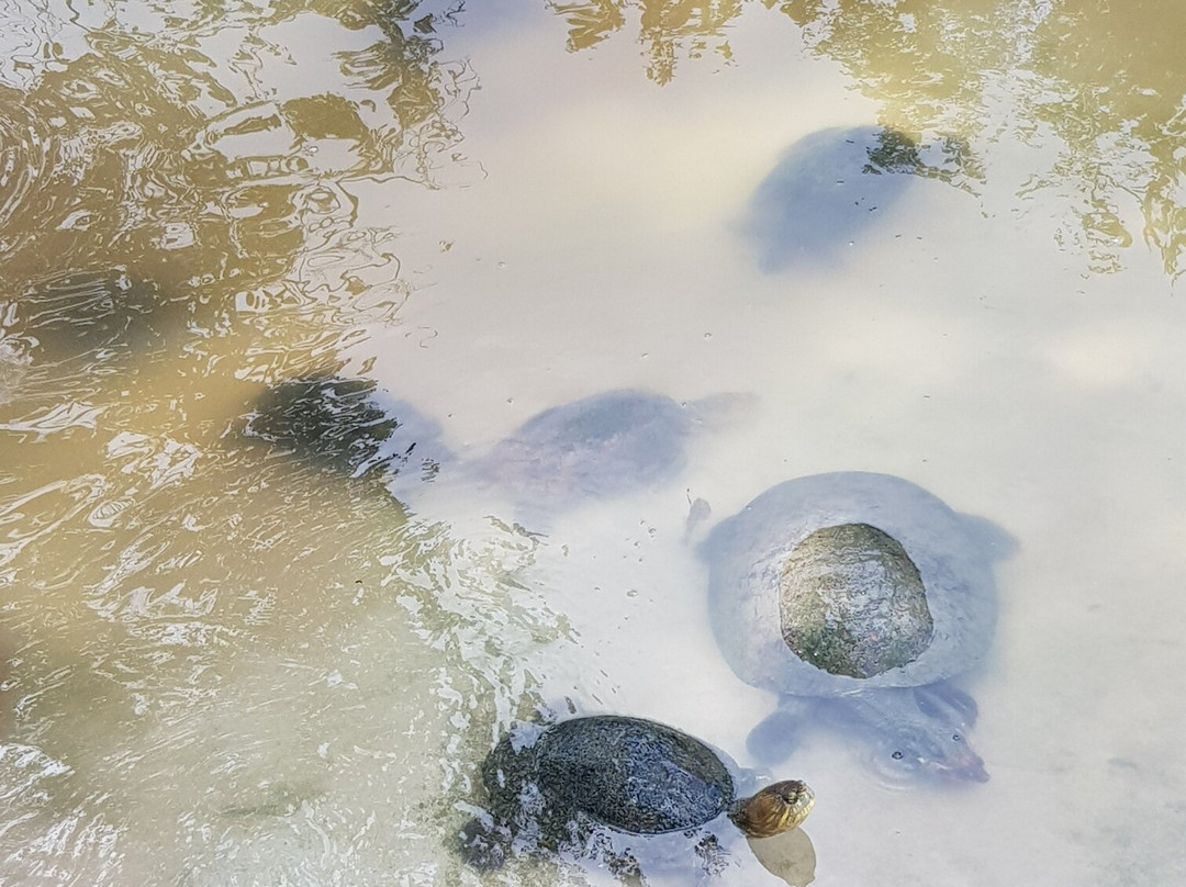 Zoológico De Barranquilla-Barranquilla必去景点