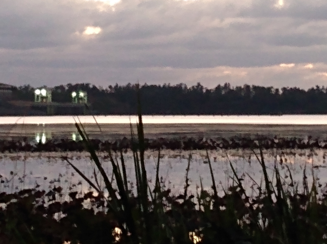 Jim Woodruff Dam-Sneads必去景点