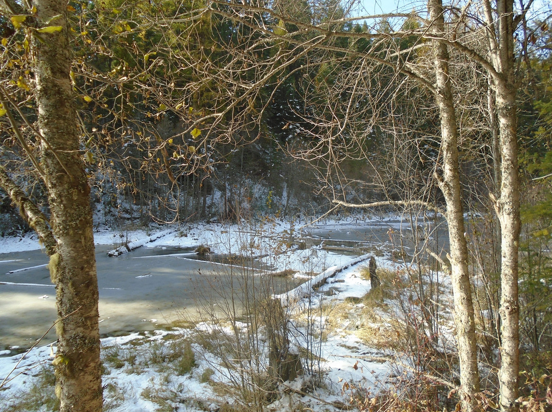 Little Pend Oreille National Wildlife Refuge景点图片