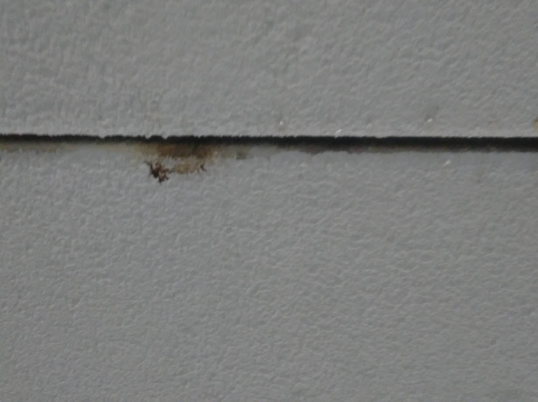 Riviera Resort & Suites主图