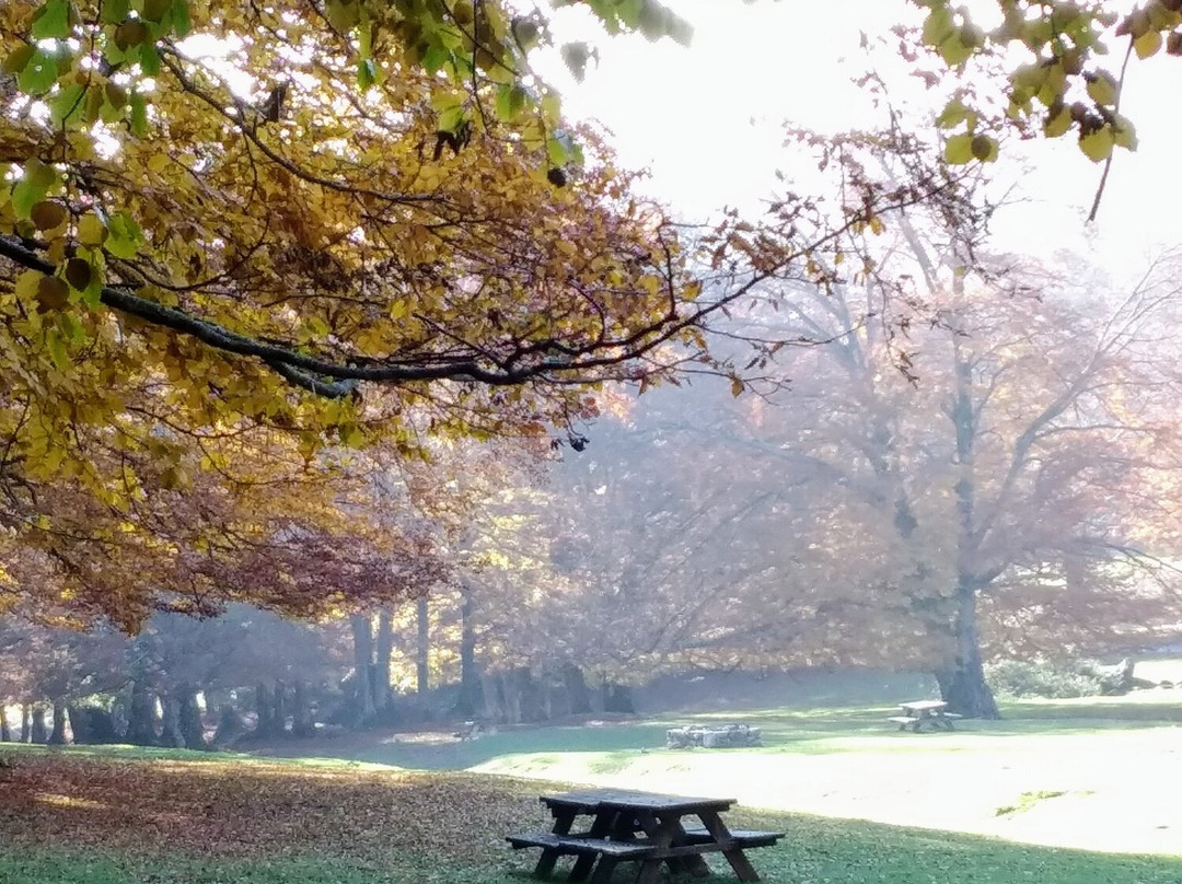 Area Pic Nic Prato di Campoli-Veroli必去景点