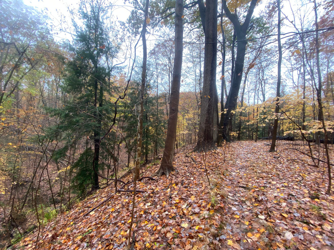 Hach-Otis State Nature Preserve景点图片