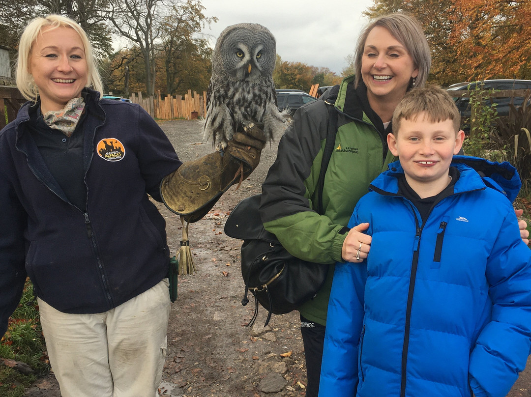 梅菲尔德羊驼馆-谢菲尔德必去景点