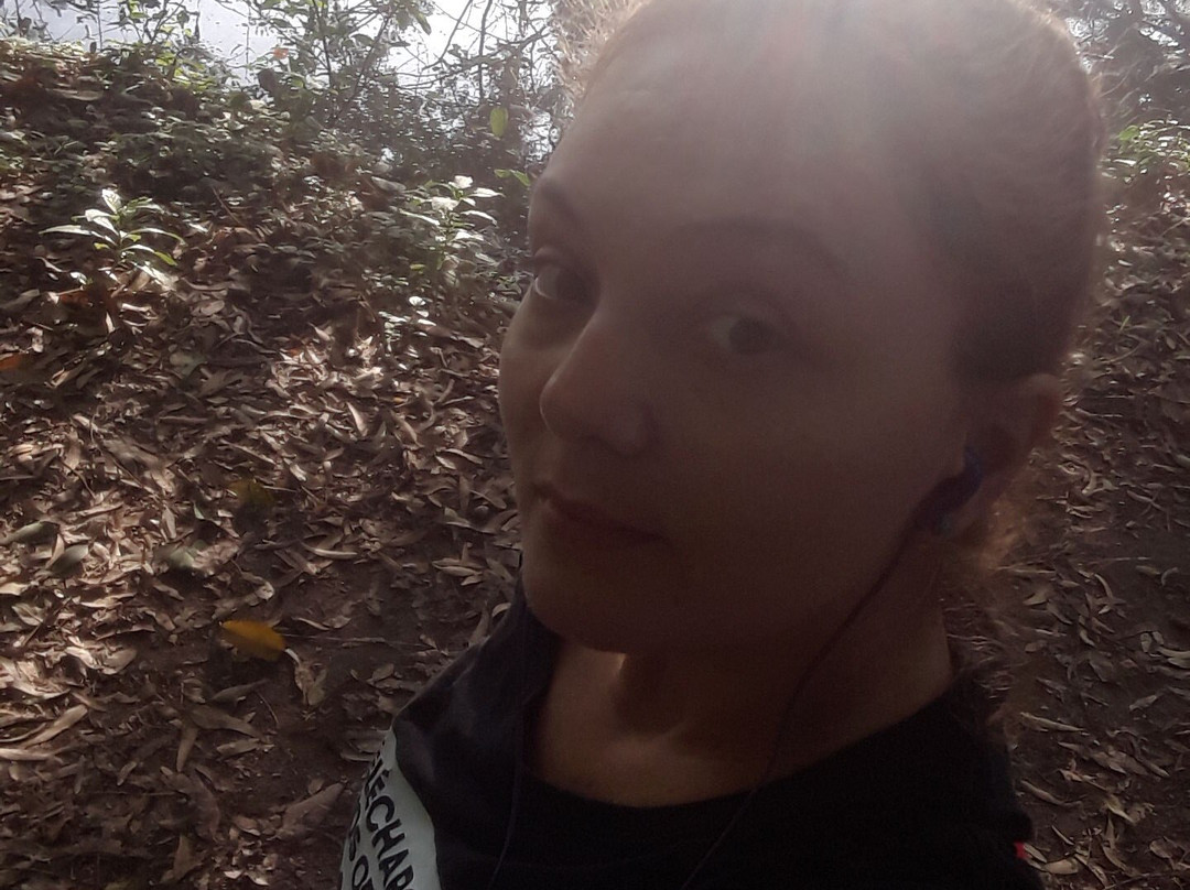 Parque Ecologico do Tiete-圣保罗必去景点