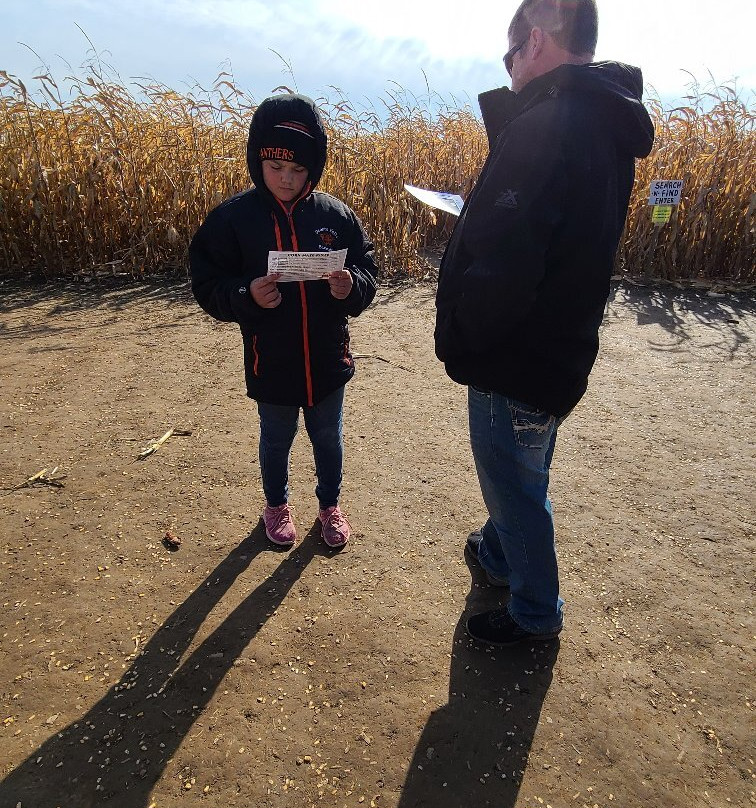 Polly's Pumpkin Patch-Chilton必去景点