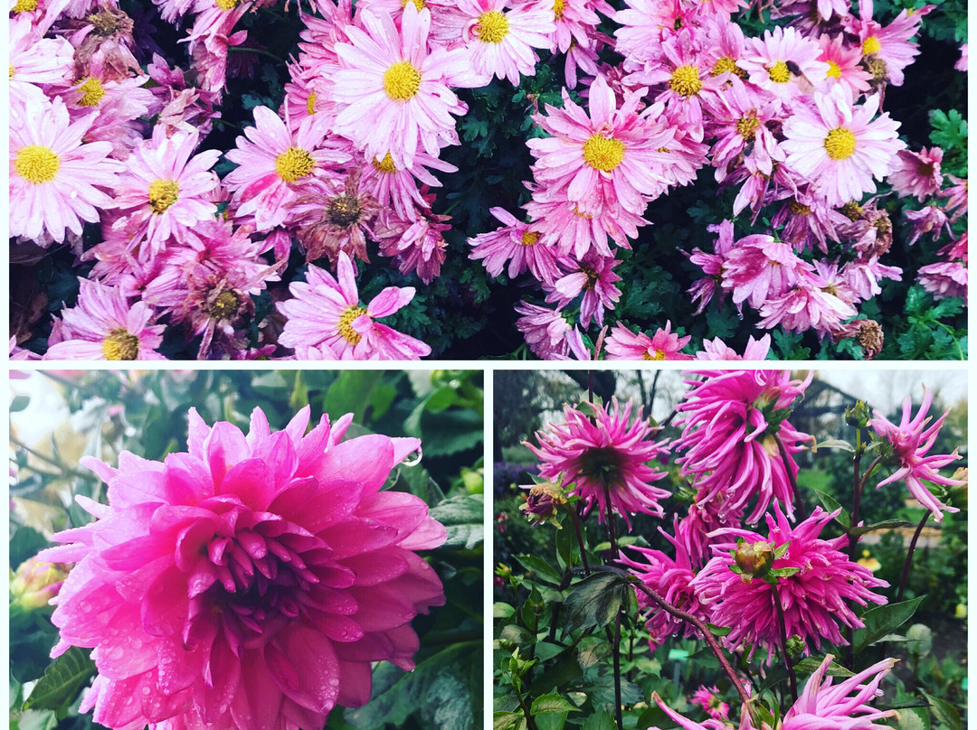 Dubuque Arboretum & Botanical Gardens-迪比克必去景点