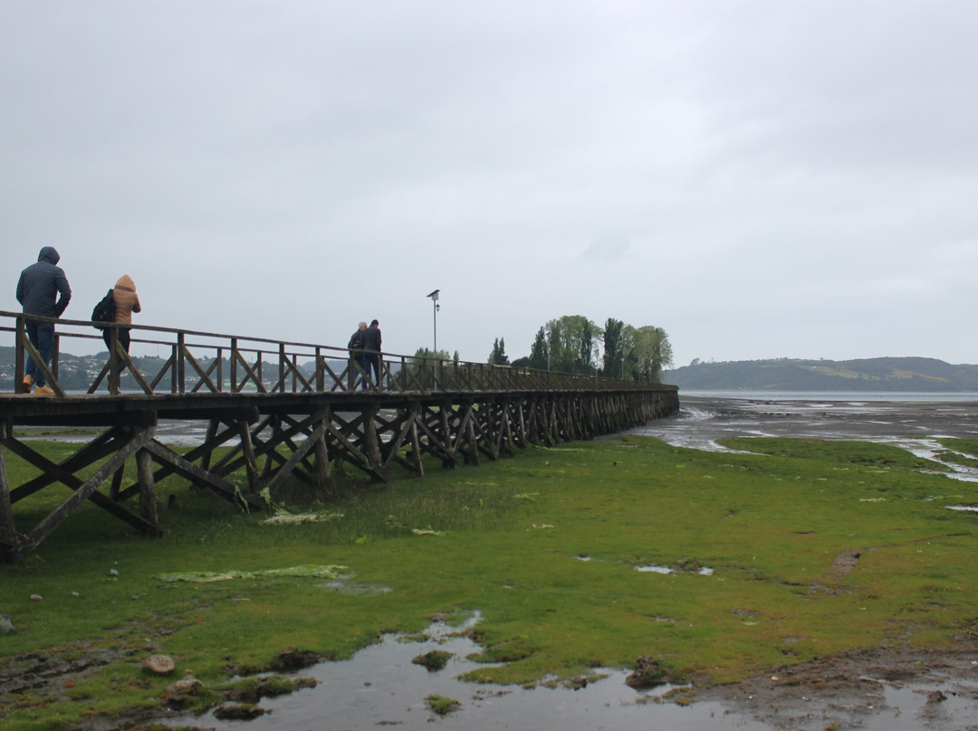 Isla Aucar-Quemchi必去景点