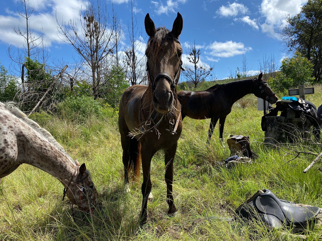 Black Horse Trails-荒野必去景点