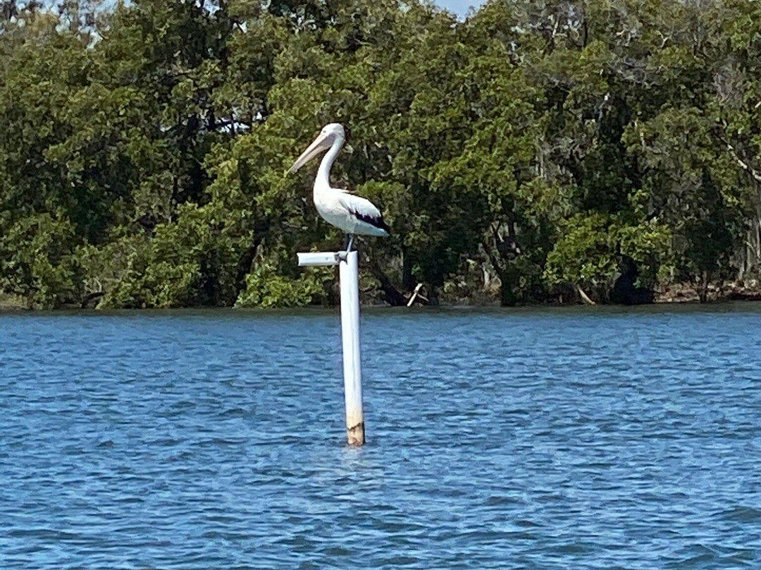 South West Rocks Estuary Charters-西南岩必去景点