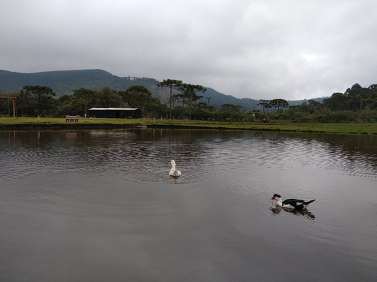 Pousada Lago da Colina主图