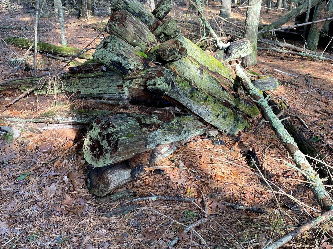 Assabet River National Wildlife Refuge景点图片