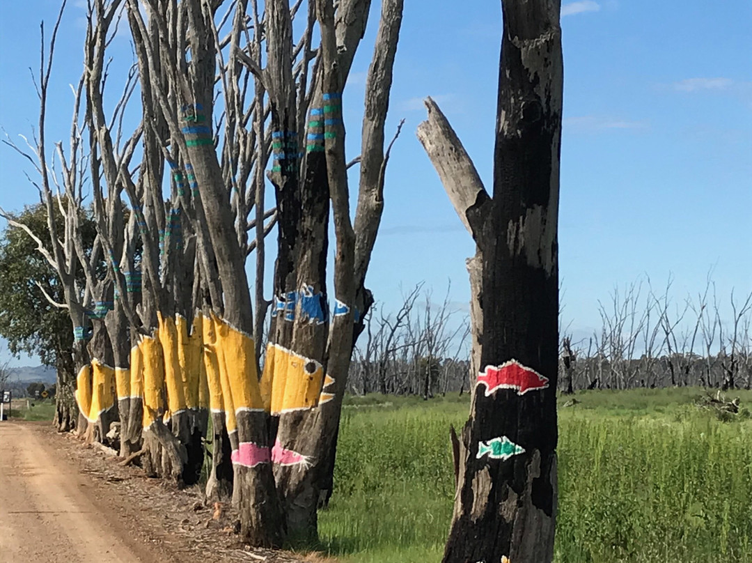 Winton Wetlands Art Trail景点图片