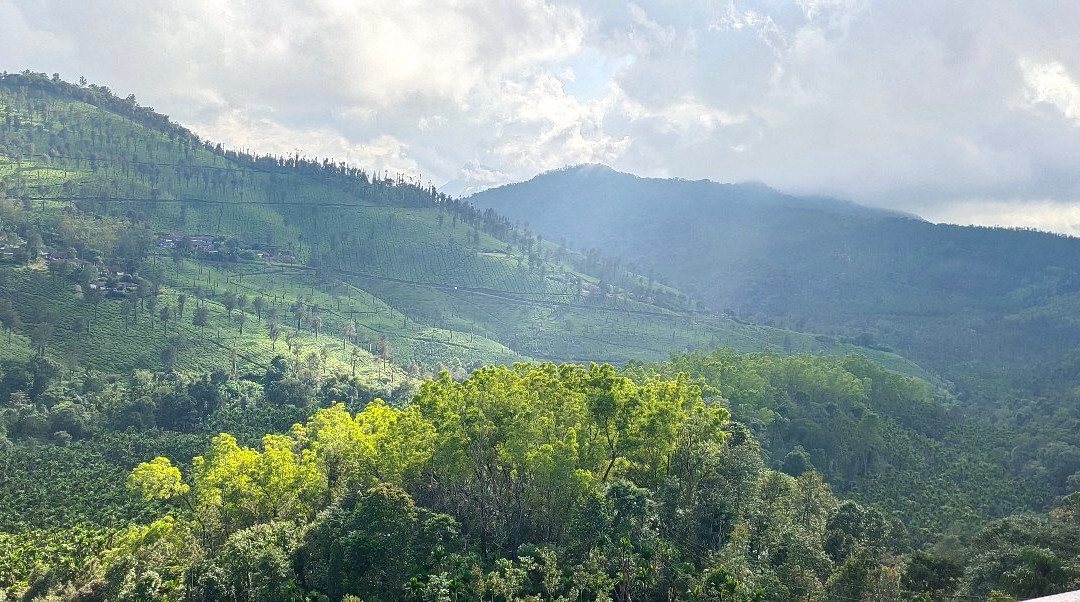 Kyatanamakki Hill Station景点图片