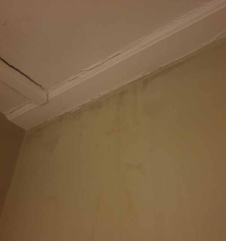 The Globe Hotel主图