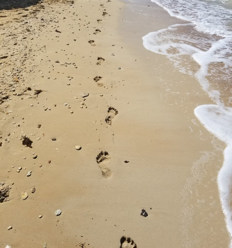 Luxury Chalet La Hacienda主图