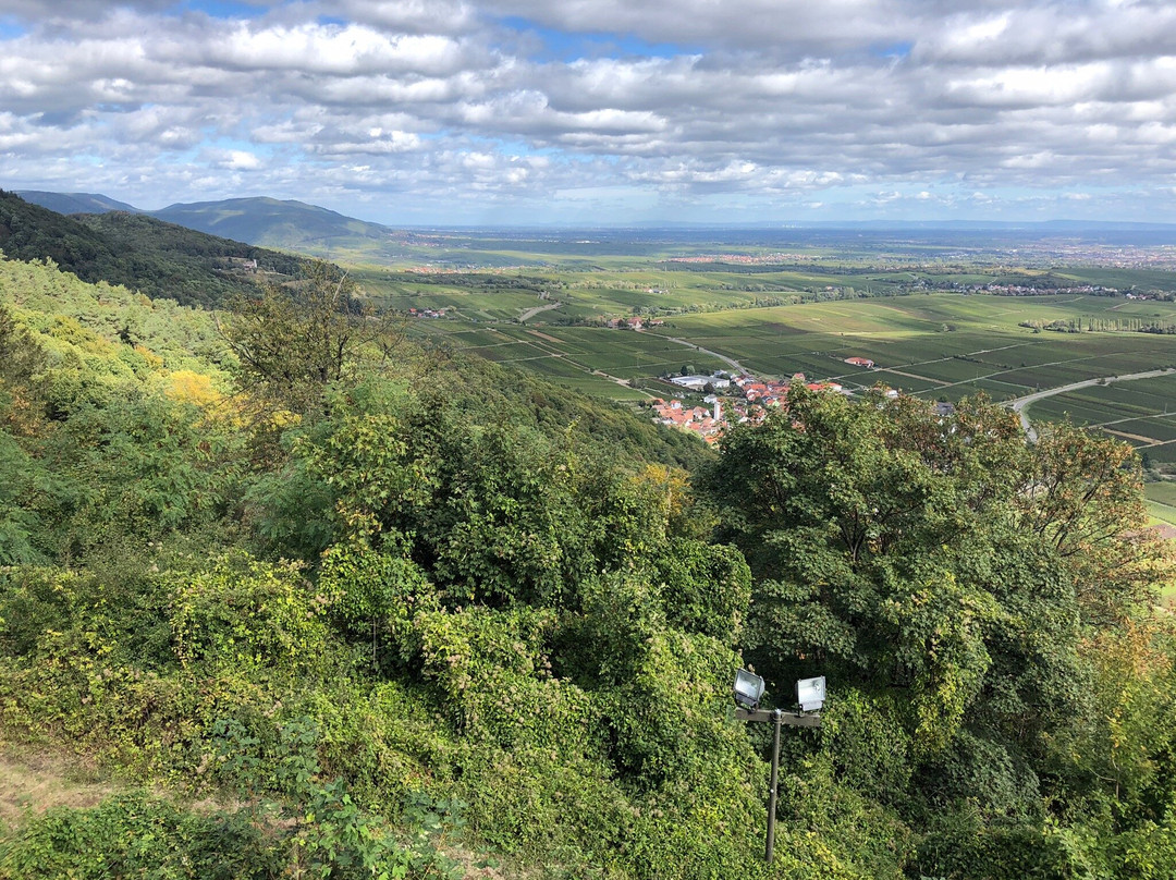 Julius in der Pfalz主图