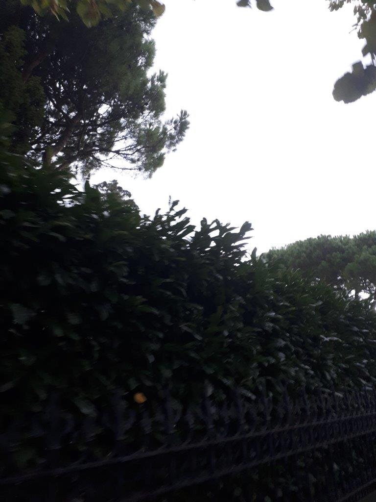 洛桑美岸皇宫大酒店-浴室