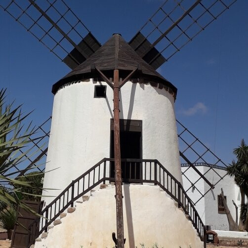 Molino de Antigua - Museo del Queso Majorero景点图片