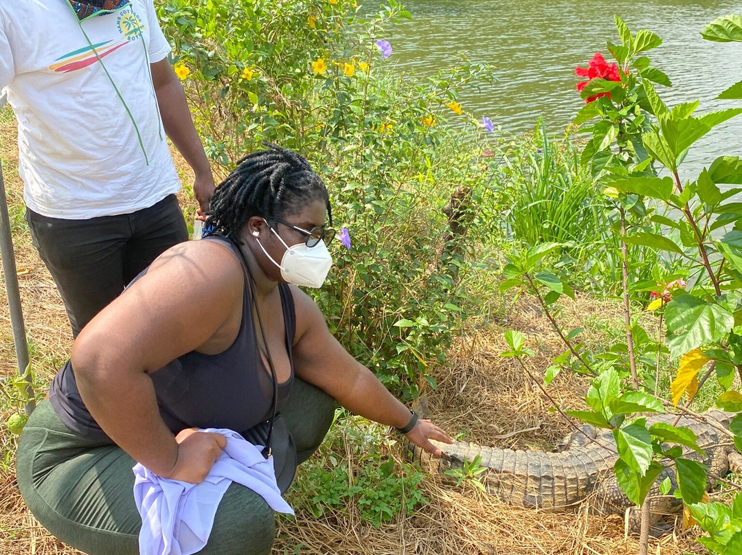 Hans Cottage Botel主图