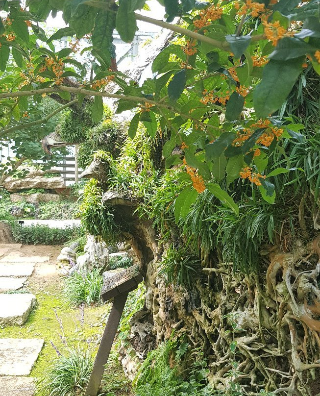 UriKkot Botanical Garden-华城市必去景点