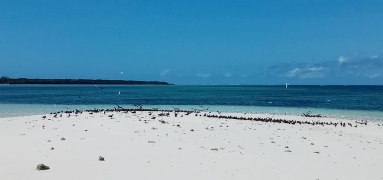 Hussein Tourist Guider-江比阿尼必去景点