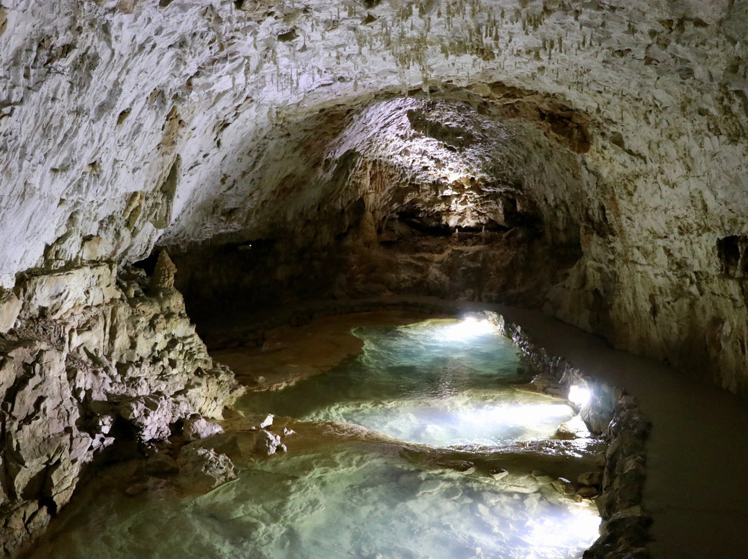 Grotte De Choranche景点图片