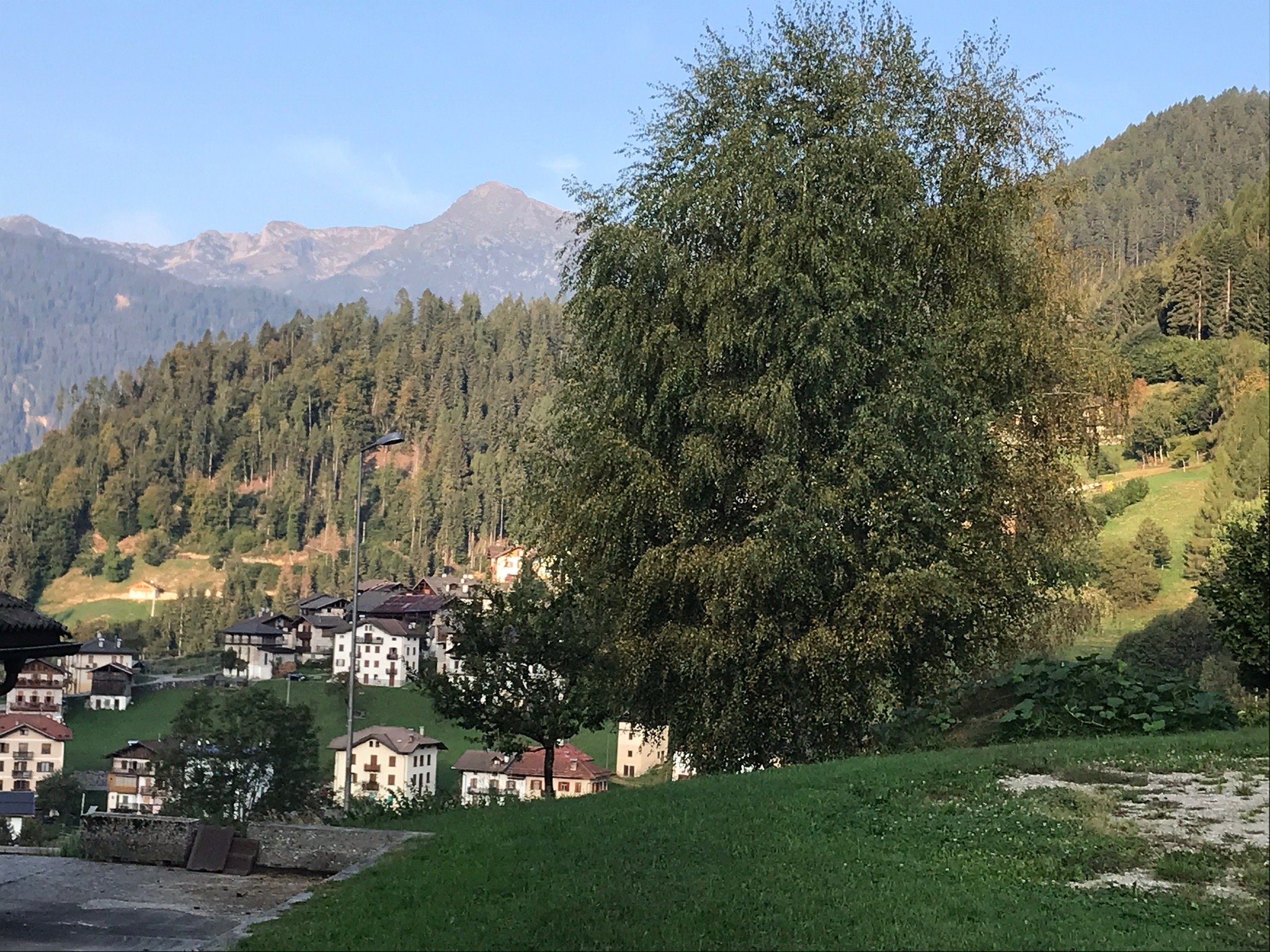 Albergo Ristorante Serenella-官方