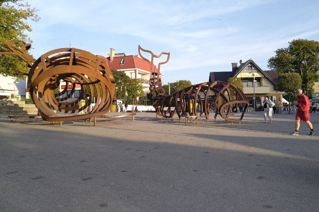 Plac Wieloryba景点图片