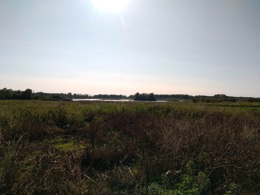 Oostvaardersplassen-阿尔梅勒必去景点