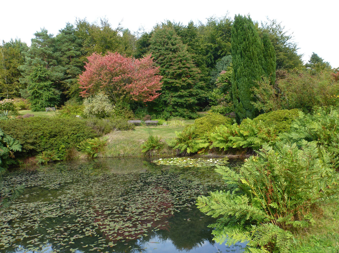 High Beeches Garden景点图片