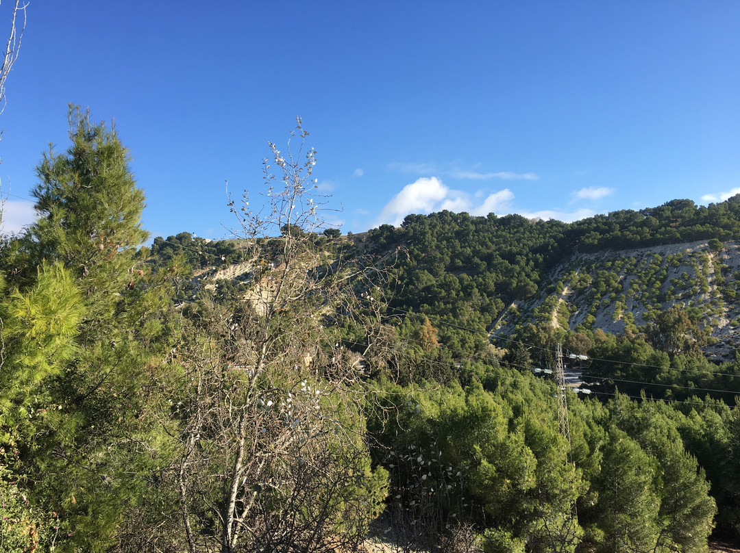 Hotel Les Pins主图