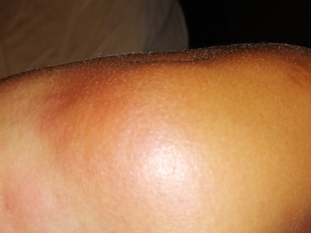 B&B HOTEL Yvetot主图