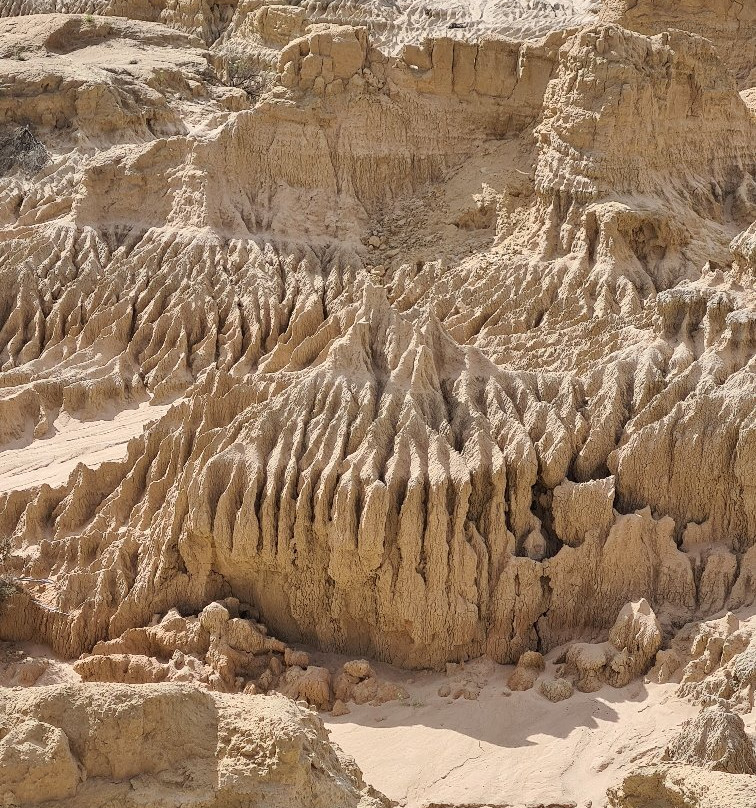Mungo Loop Track景点图片