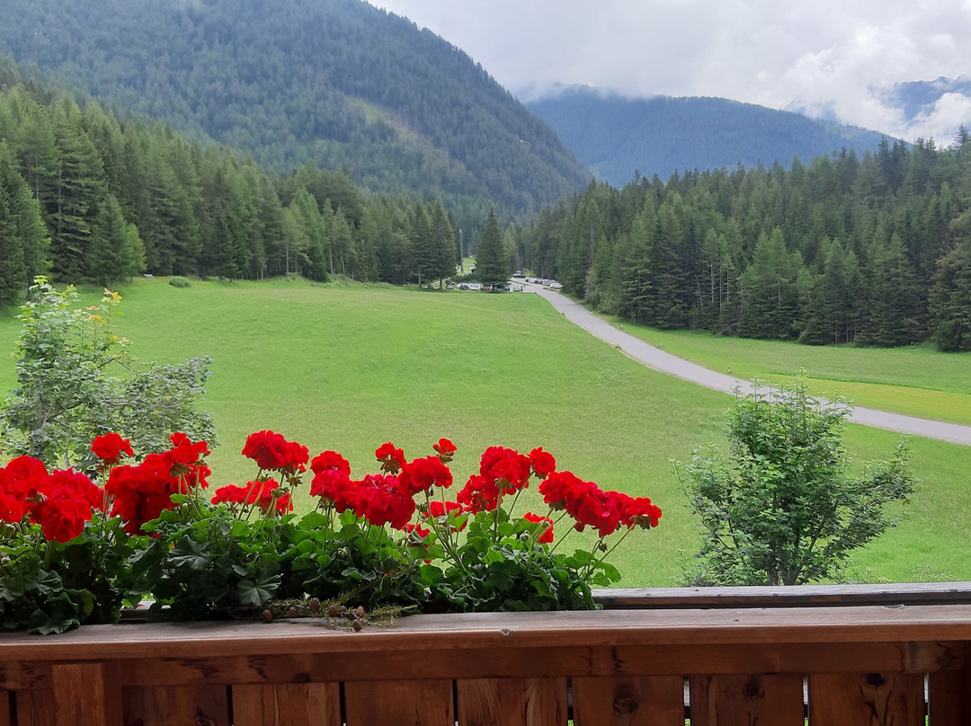 Wanderhotel Taurerwirt主图