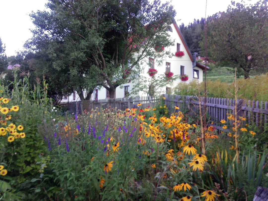 Pension Morhof主图